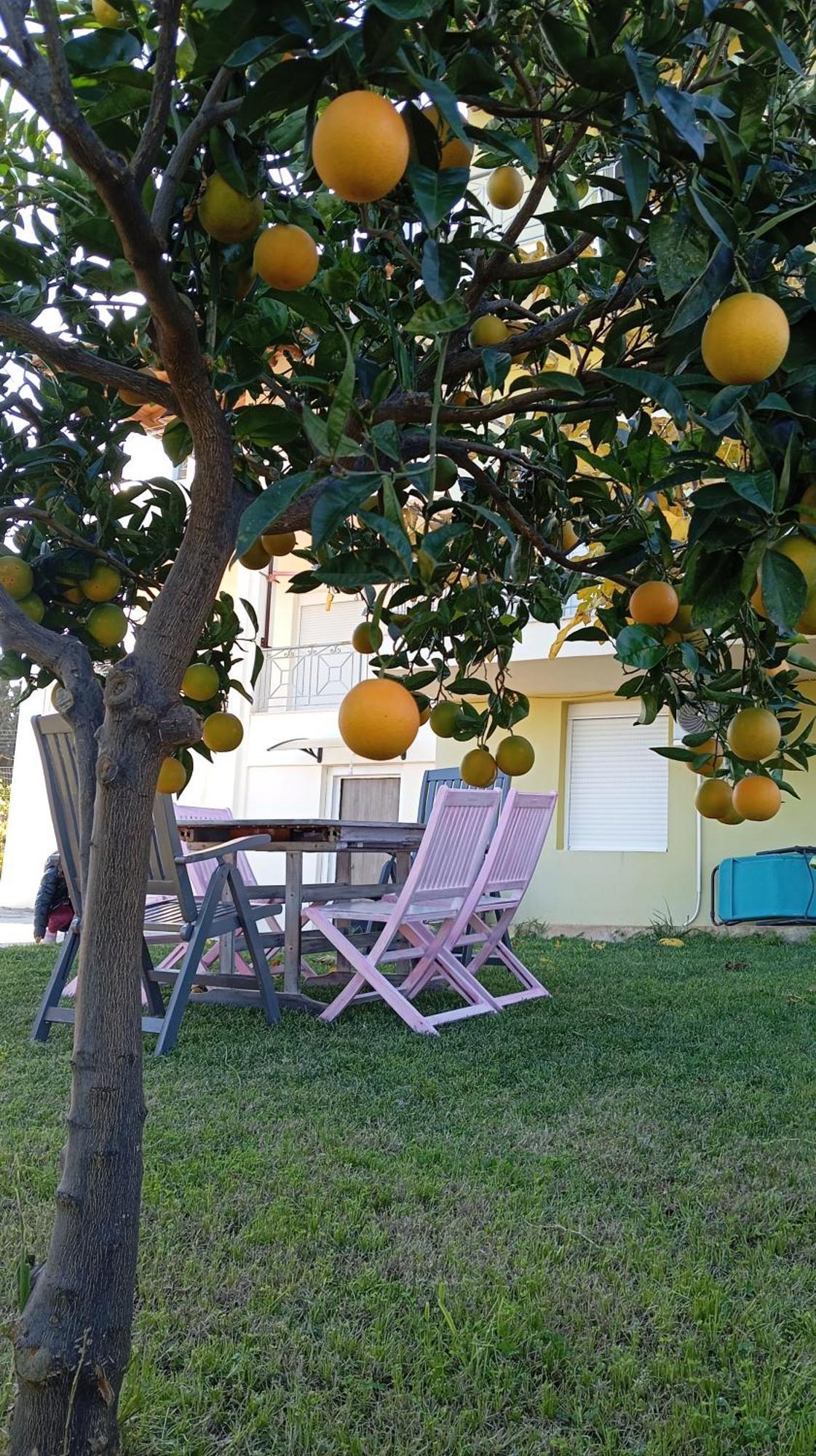 Katia 'S Country House Sikion 外观 照片